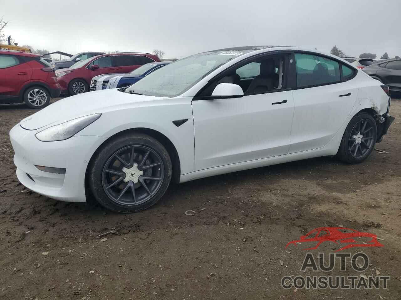 TESLA MODEL 3 2021 - 5YJ3E1EA1MF066389