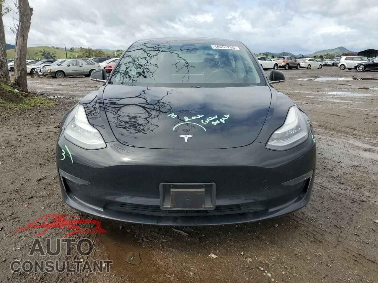 TESLA MODEL 3 2019 - 5YJ3E1EB8KF384533