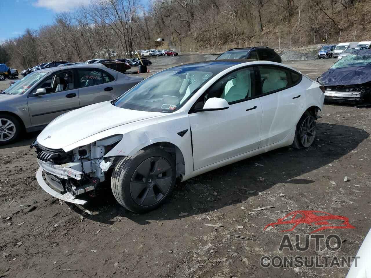 TESLA MODEL 3 2021 - 5YJ3E1EB8MF034225