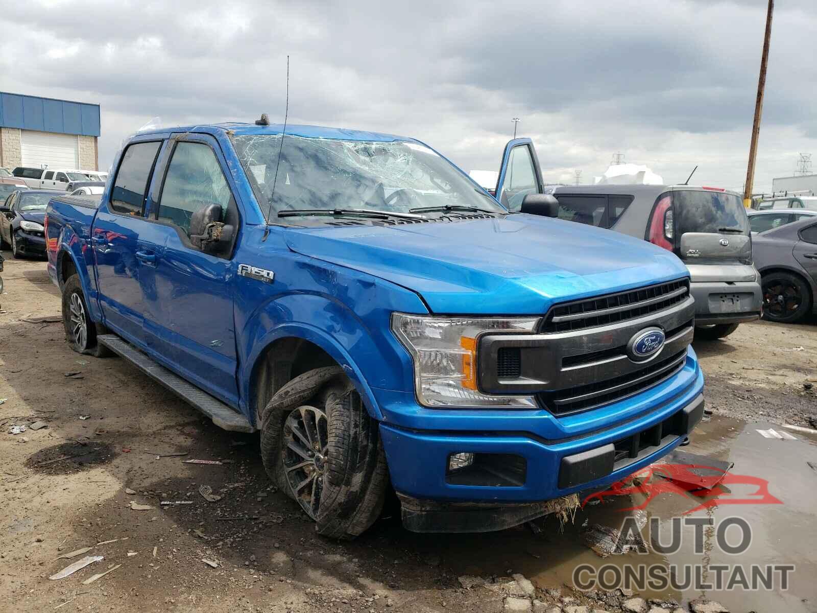 FORD F150 2019 - 1FTEW1EP0KKF24983