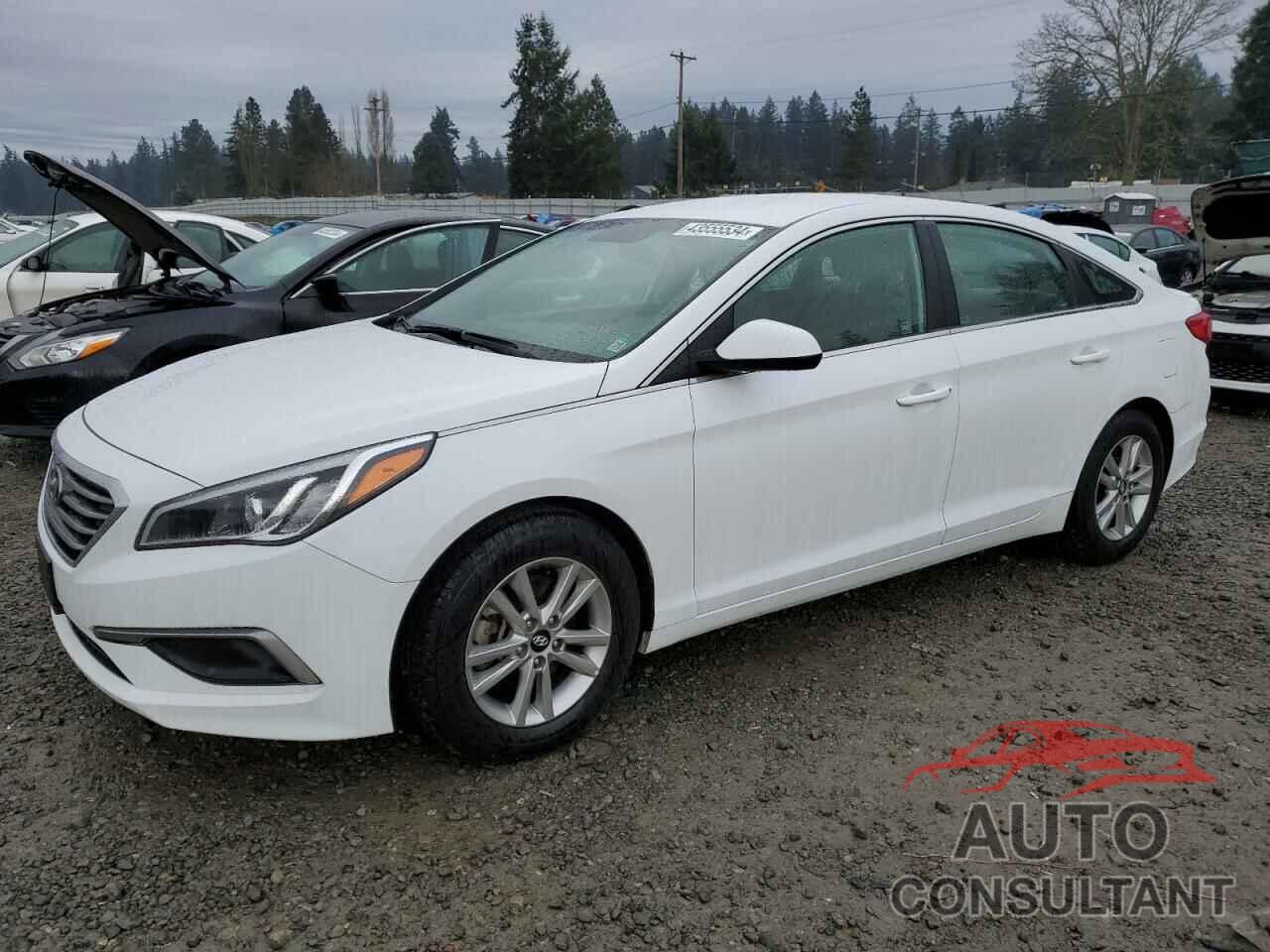HYUNDAI SONATA 2017 - 5NPE24AF4HH575310