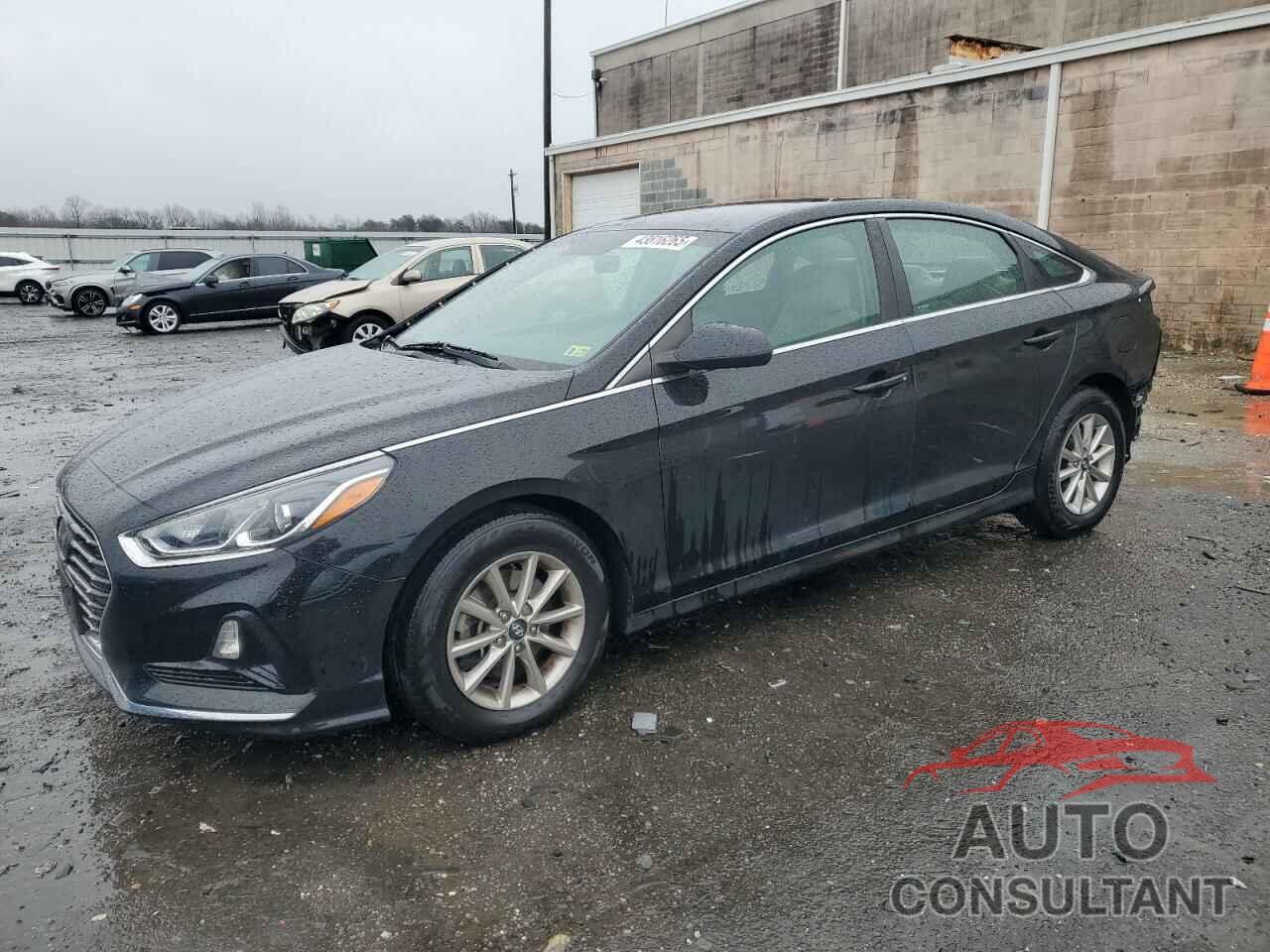 HYUNDAI SONATA 2019 - 5NPE24AF3KH819603