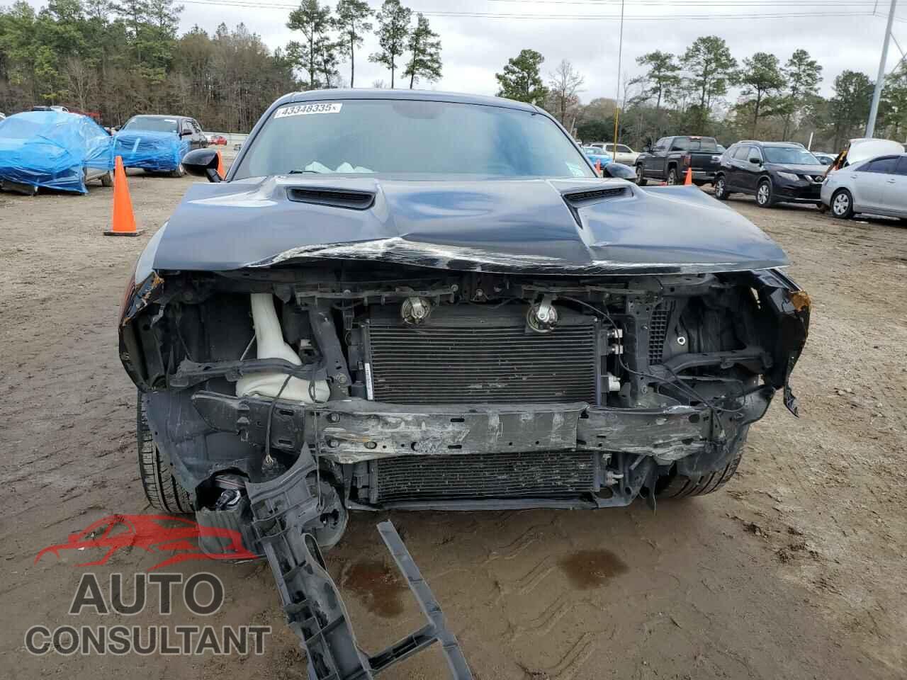 DODGE CHALLENGER 2020 - 2C3CDZAG3LH110451