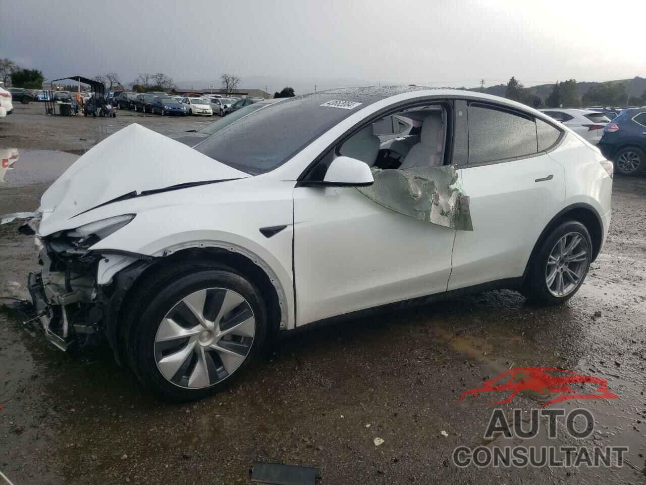 TESLA MODEL Y 2023 - 7SAYGDEE9PF701225