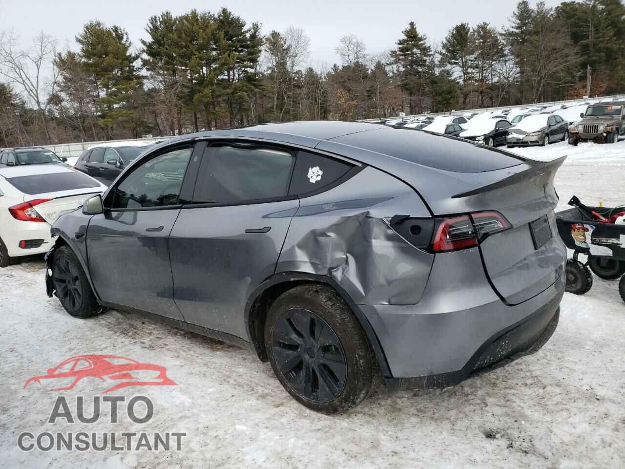 TESLA MODEL Y 2024 - 7SAYGAEE4RF199838