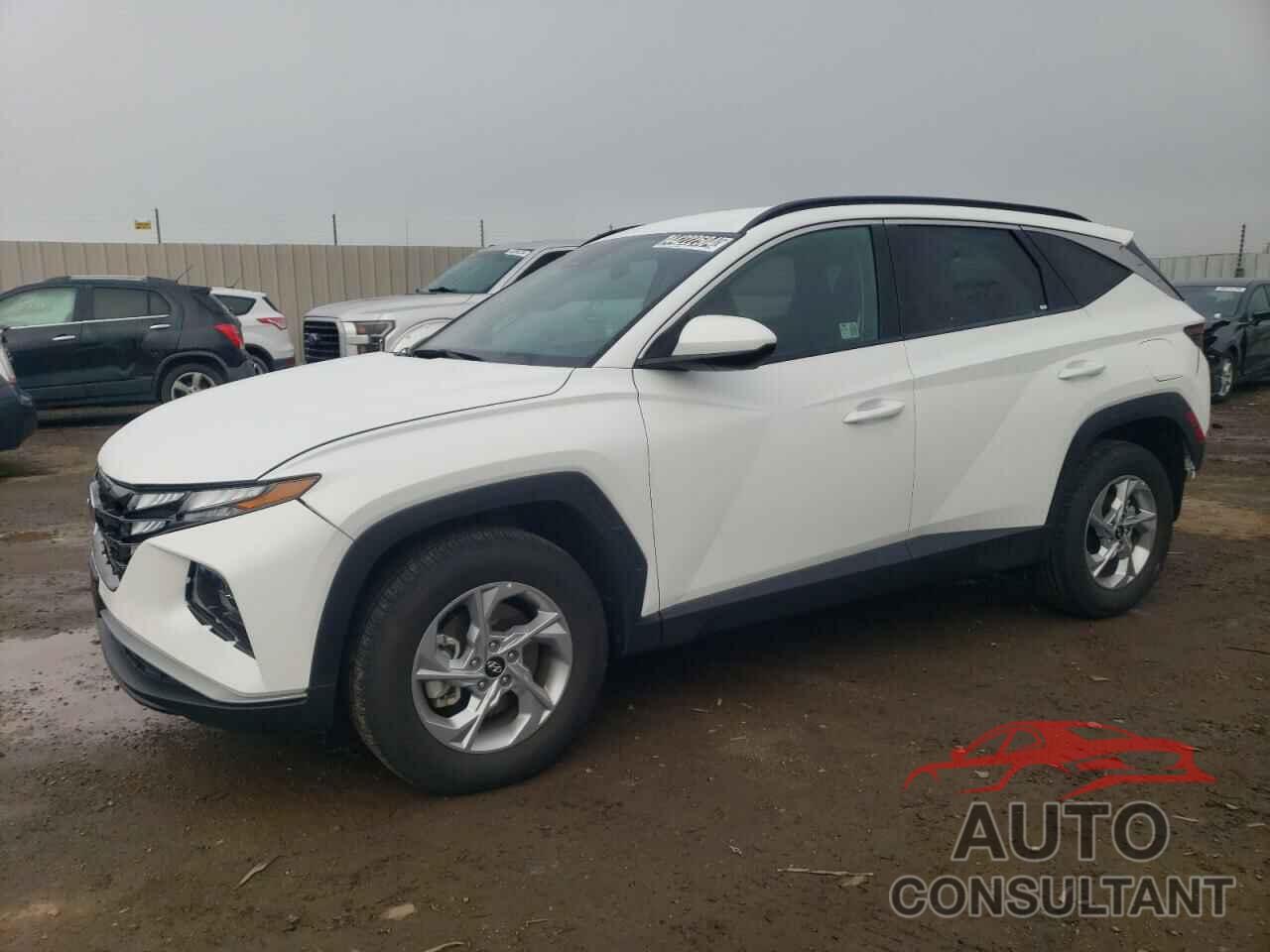 HYUNDAI TUCSON 2024 - 5NMJBCDE1RH338607