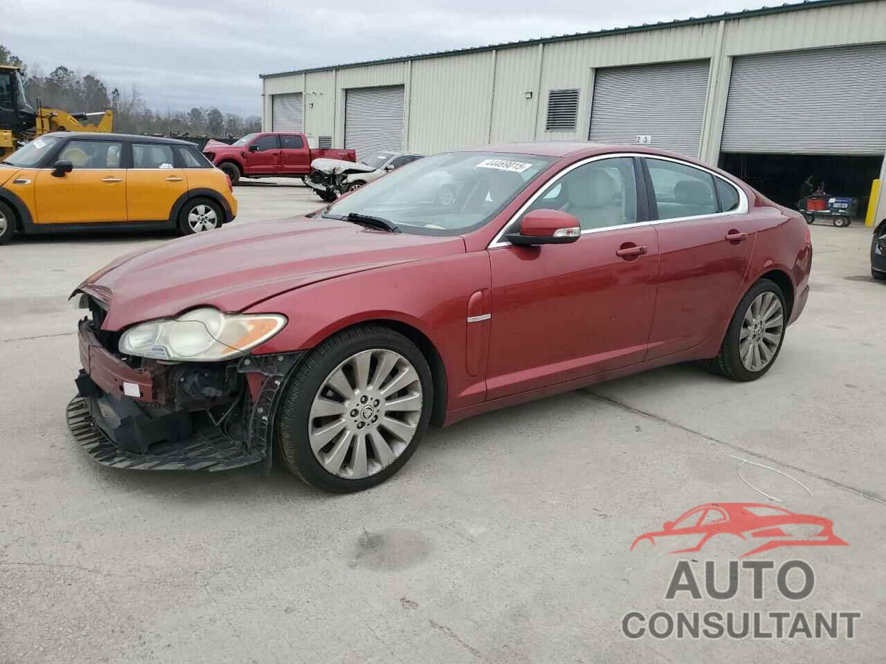 JAGUAR XF 2009 - SAJWA06B89HR46542