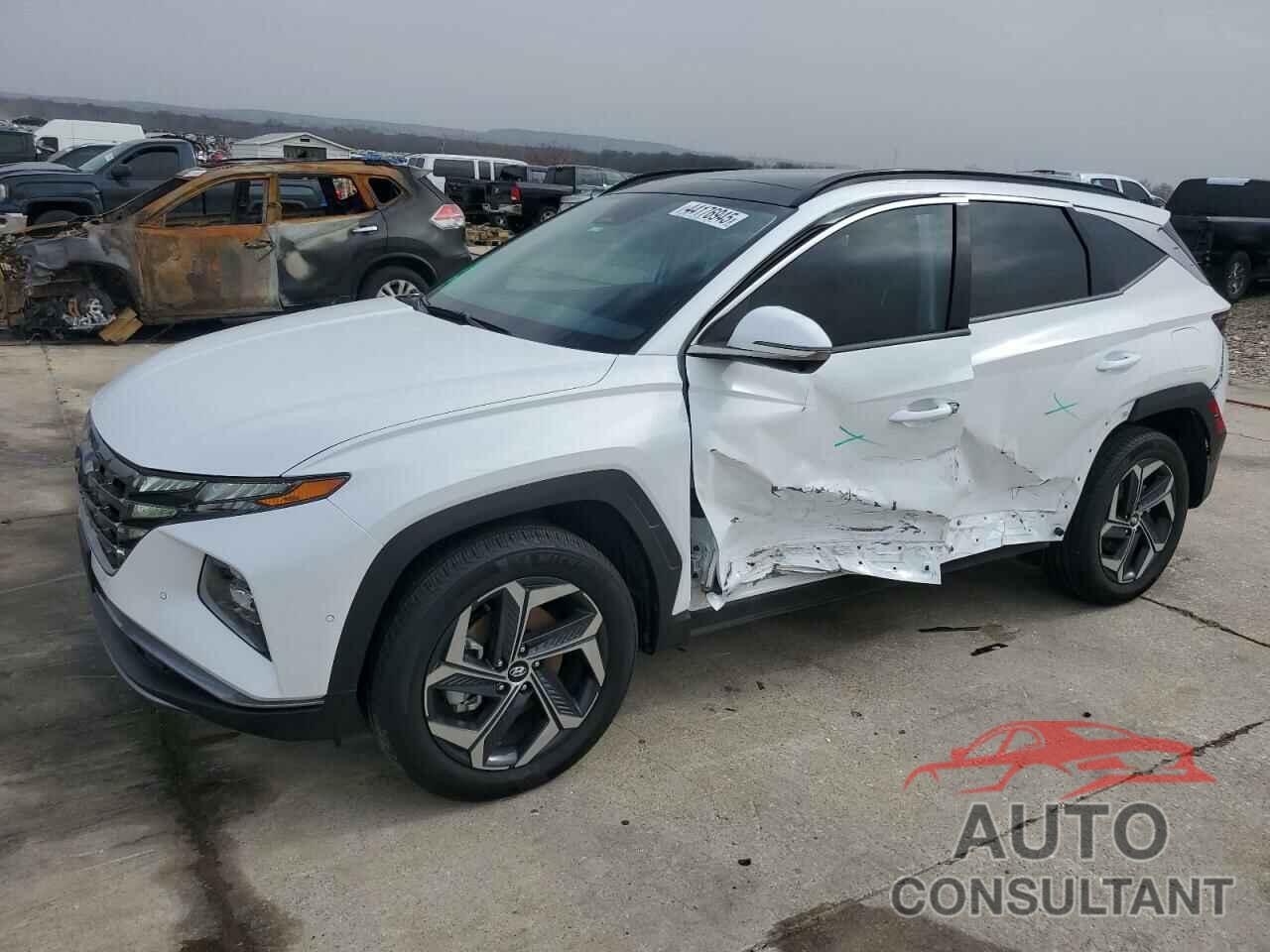 HYUNDAI TUCSON 2024 - KM8JECD1XRU181040