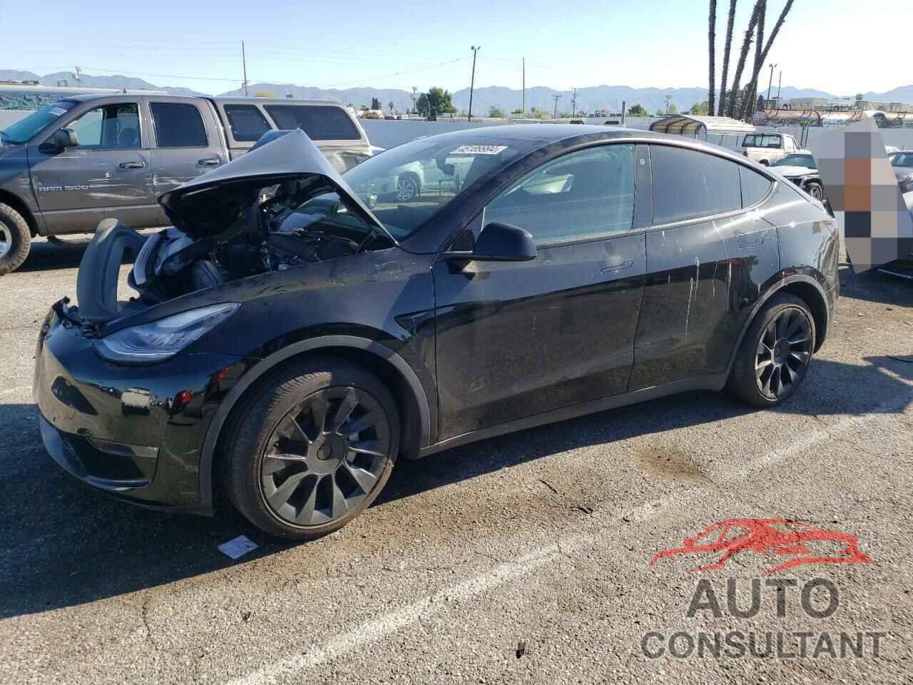 TESLA MODEL Y 2021 - 5YJYGDEE3MF096319