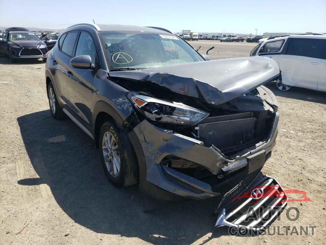 HYUNDAI TUCSON 2017 - KM8J33A49HU421293