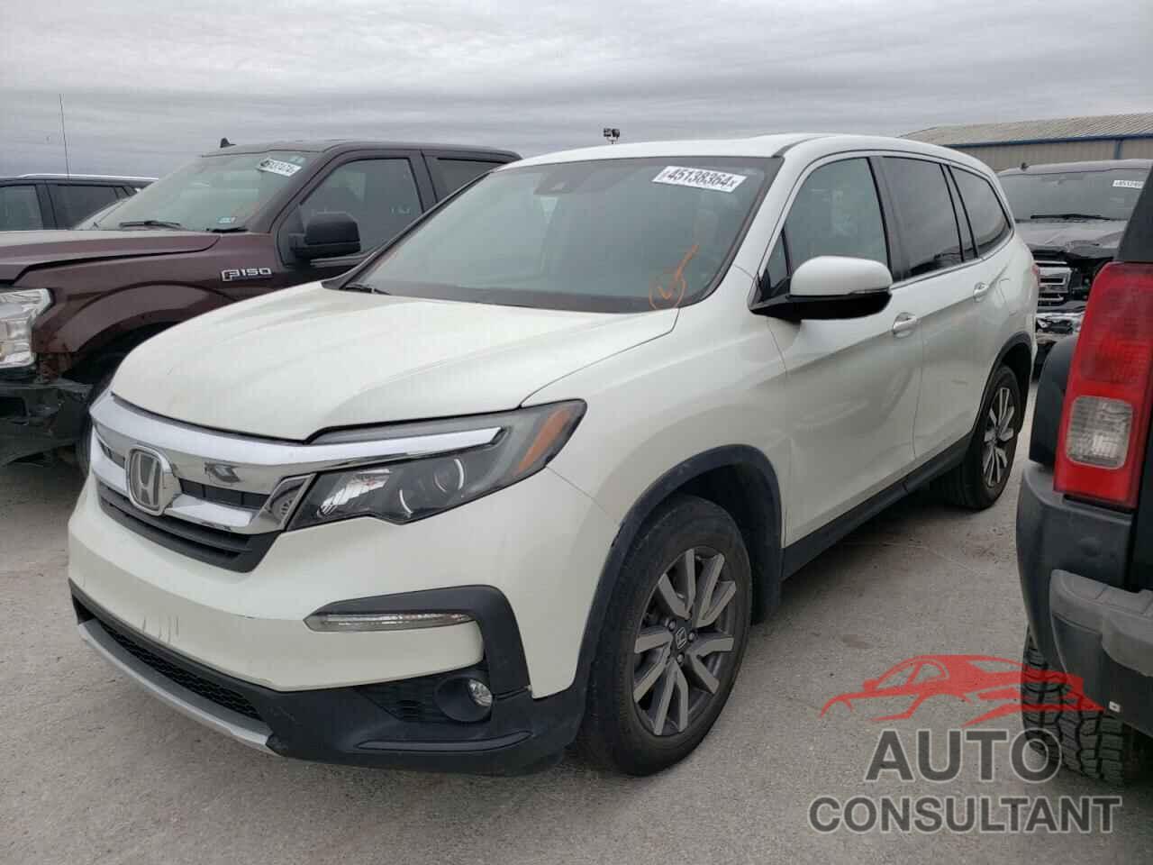 HONDA PILOT 2019 - 5FNYF5H56KB022071