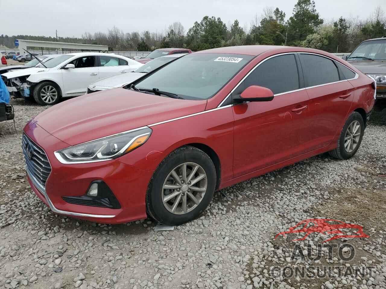 HYUNDAI SONATA 2019 - 5NPE24AF4KH804401