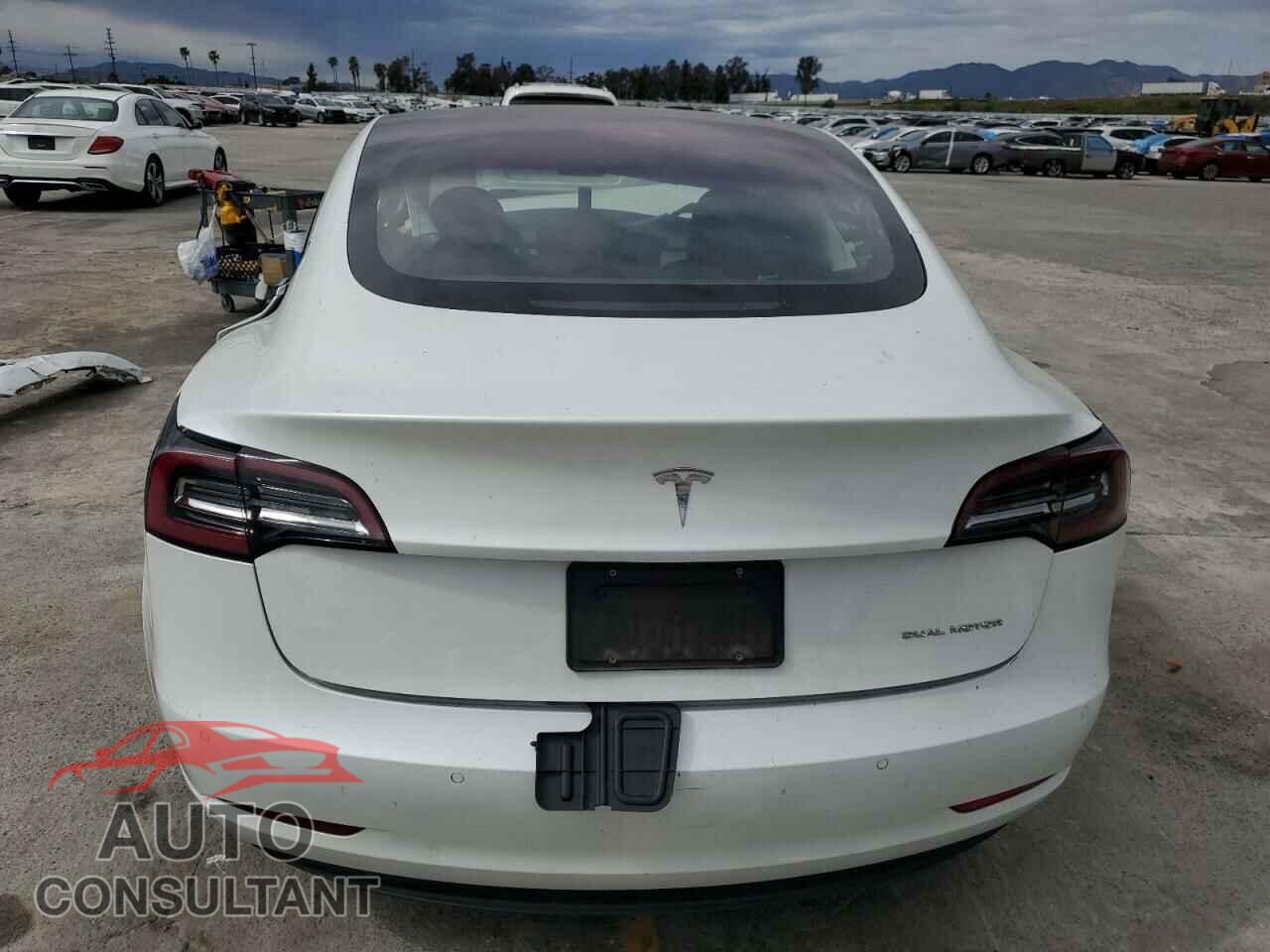 TESLA MODEL 3 2019 - 5YJ3E1EB0KF191518