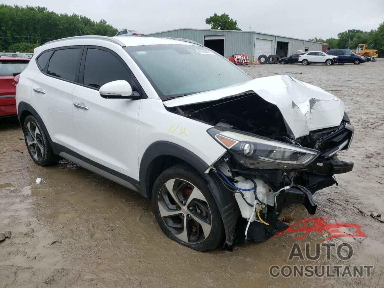 HYUNDAI TUCSON 2017 - KM8J33A29HU339451