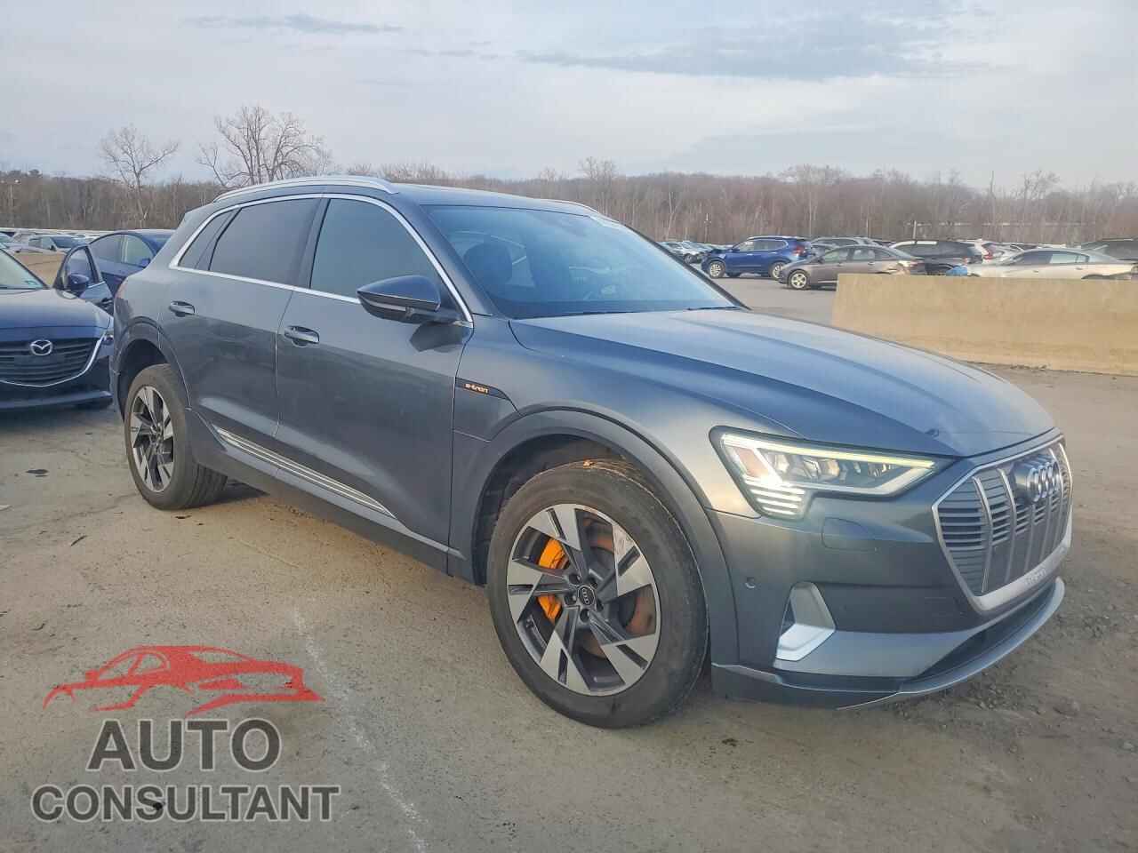 AUDI E-TRON 2019 - WA1VAAGE2KB005762