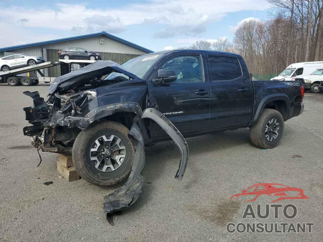 TOYOTA TACOMA 2019 - 3TMCZ5AN1KM246985