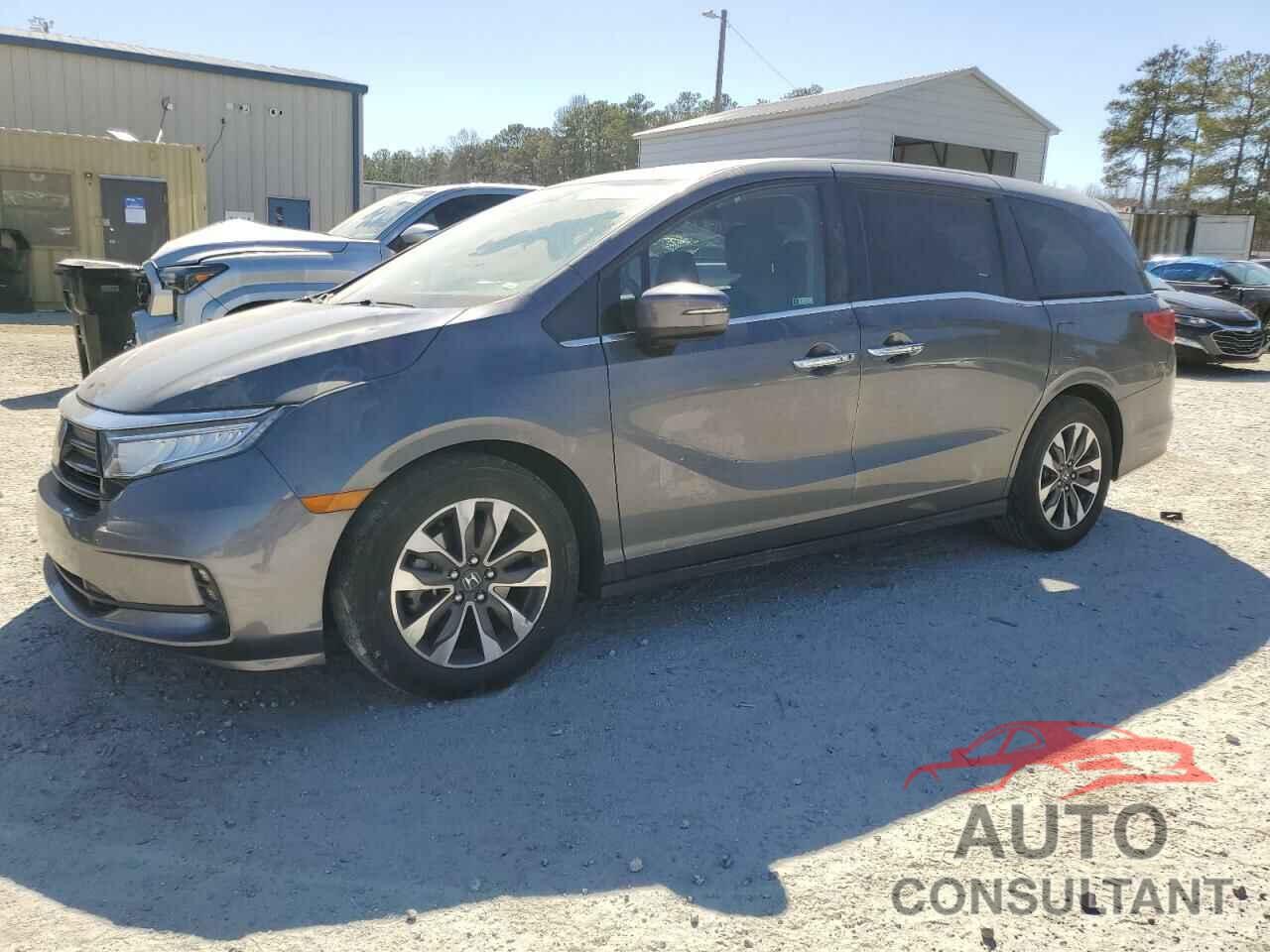 HONDA All Models 2023 - 5FNRL6H64PB042631