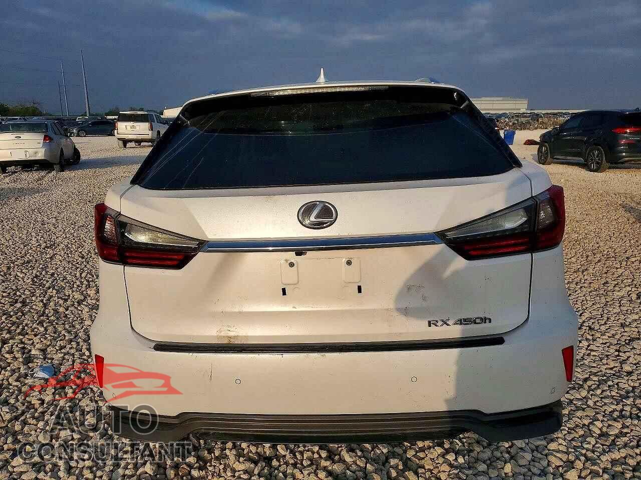 LEXUS RX450 2017 - 2T2BGMCA2HC014561