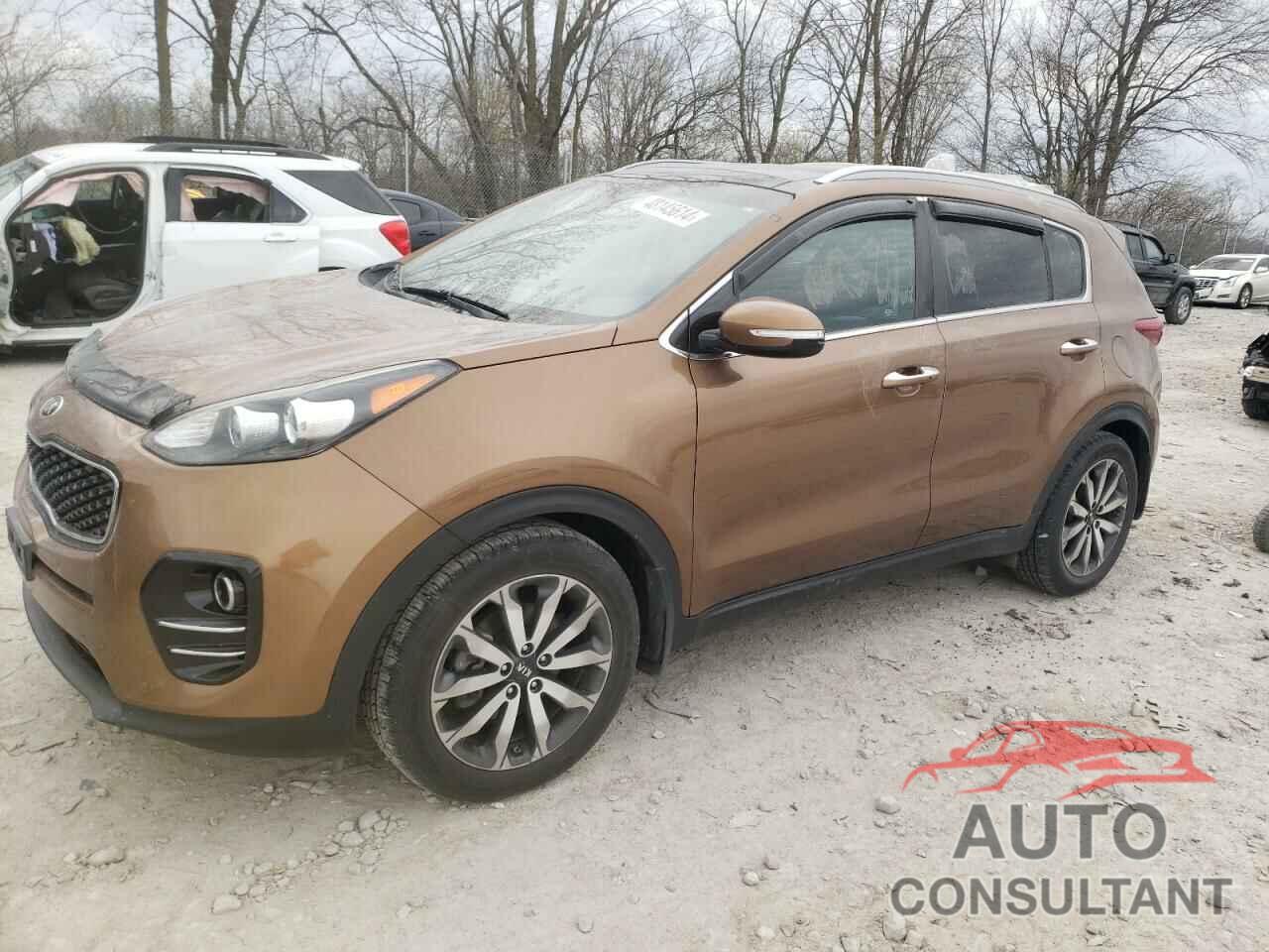 KIA SPORTAGE 2017 - KNDPN3ACXH7234577