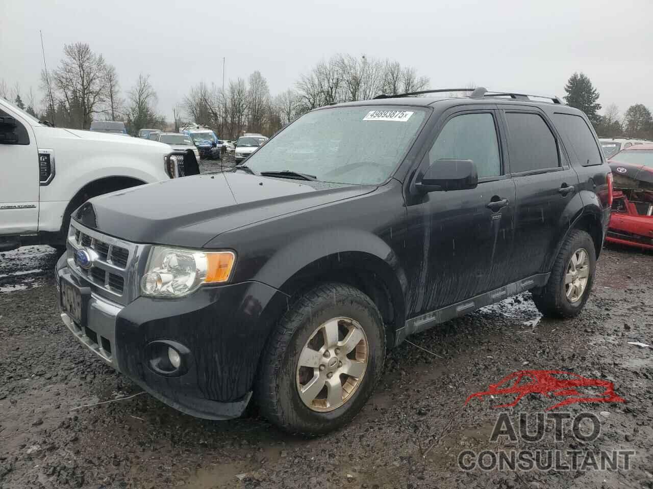 FORD ESCAPE 2011 - 1FMCU9EG1BKC19077