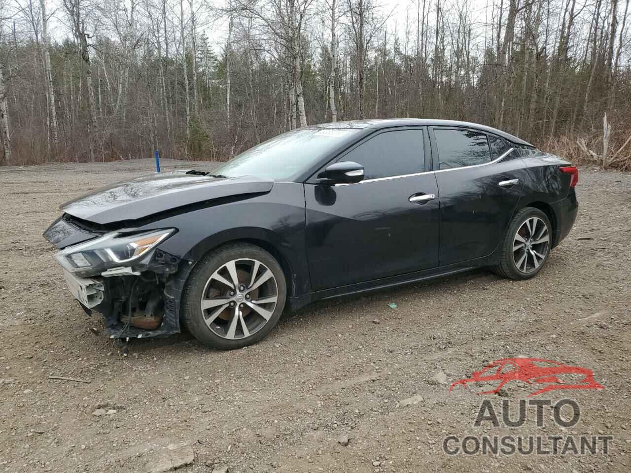 NISSAN MAXIMA 2016 - 1N4AA6AP6GC383831