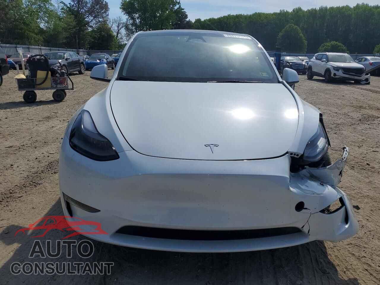 TESLA MODEL Y 2024 - 7SAYGAEE4RF070255