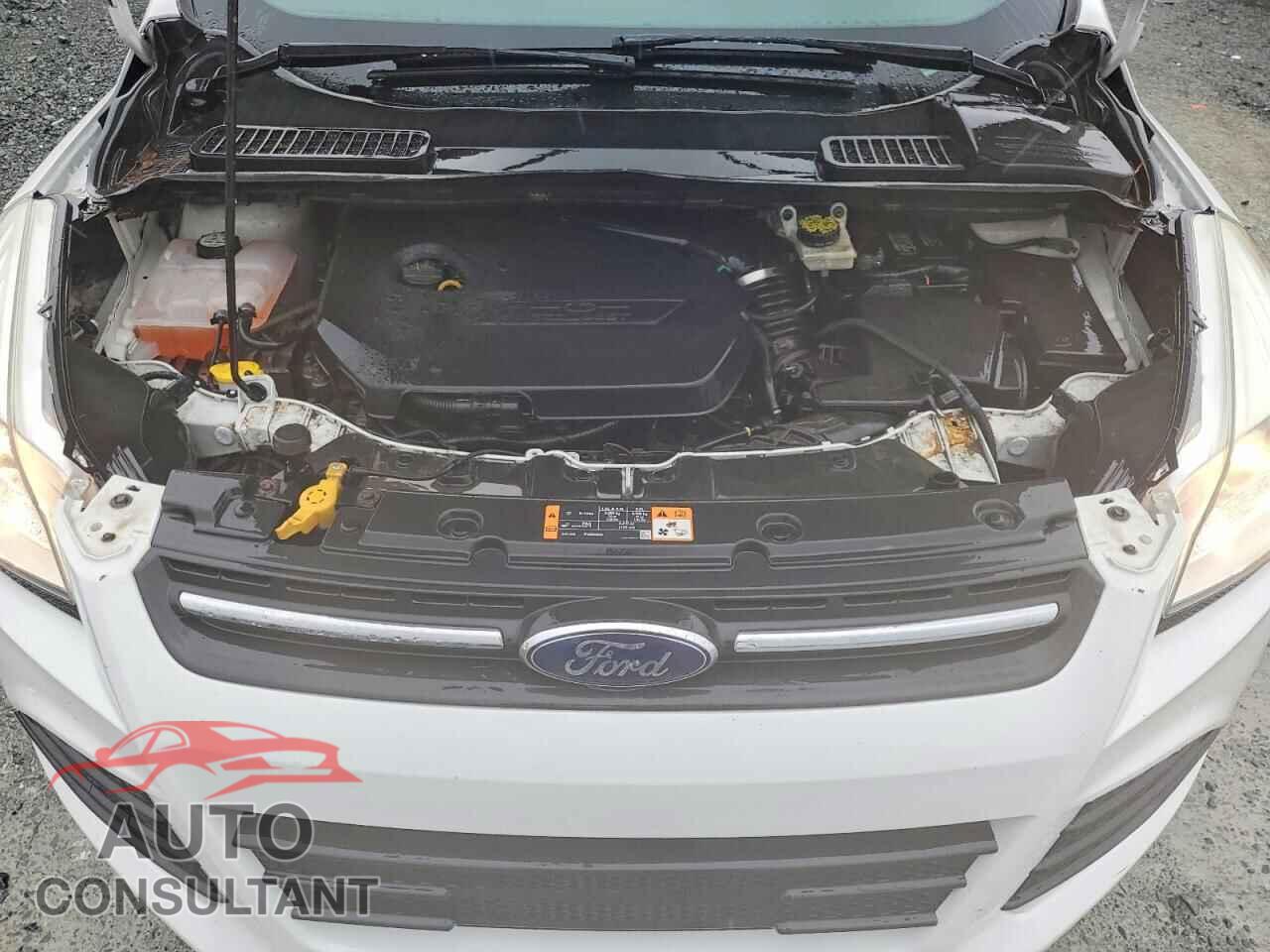 FORD ESCAPE 2014 - 1FMCU9GX5EUD26977