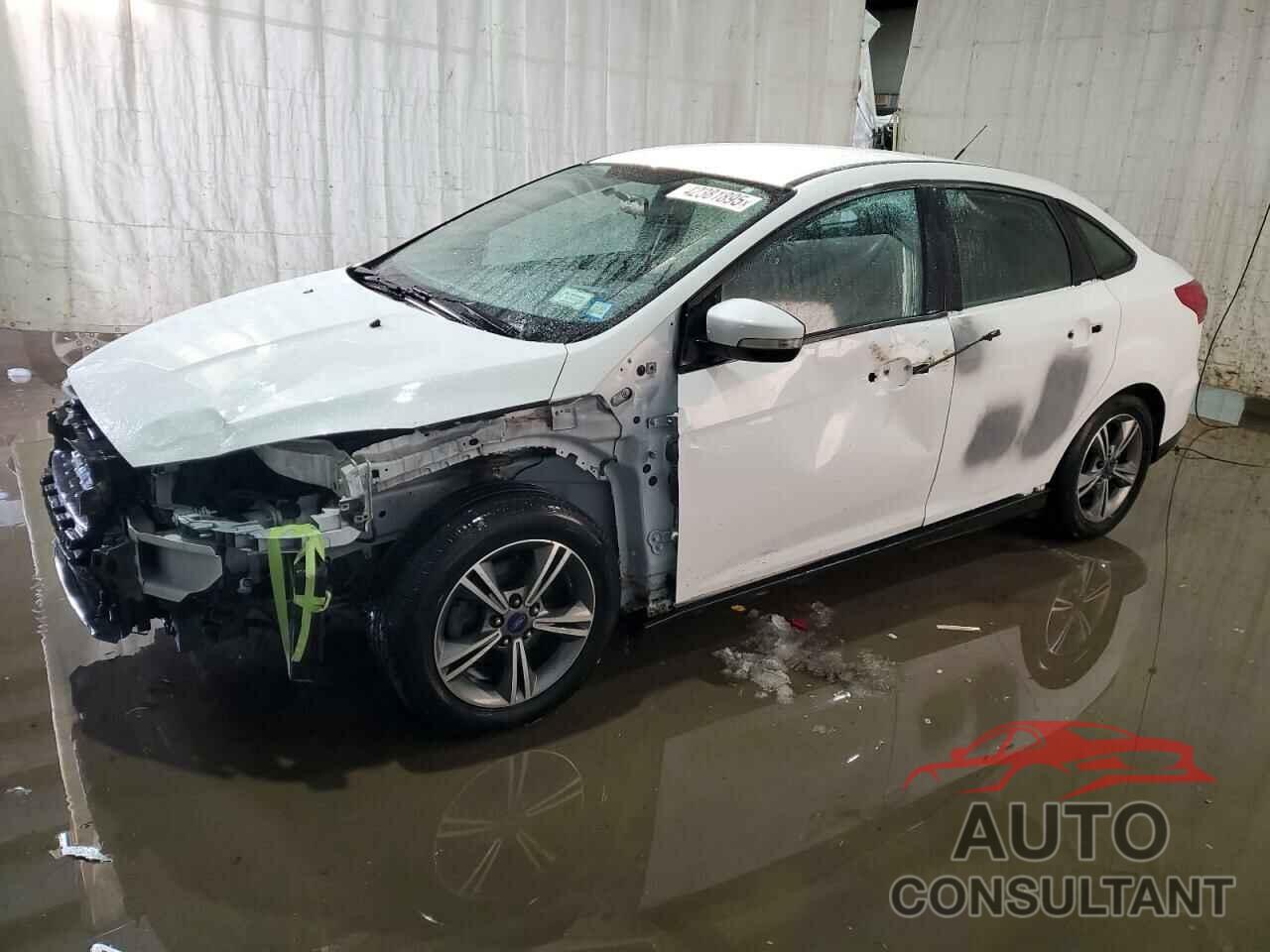 FORD FOCUS 2016 - 1FADP3FE5GL362695