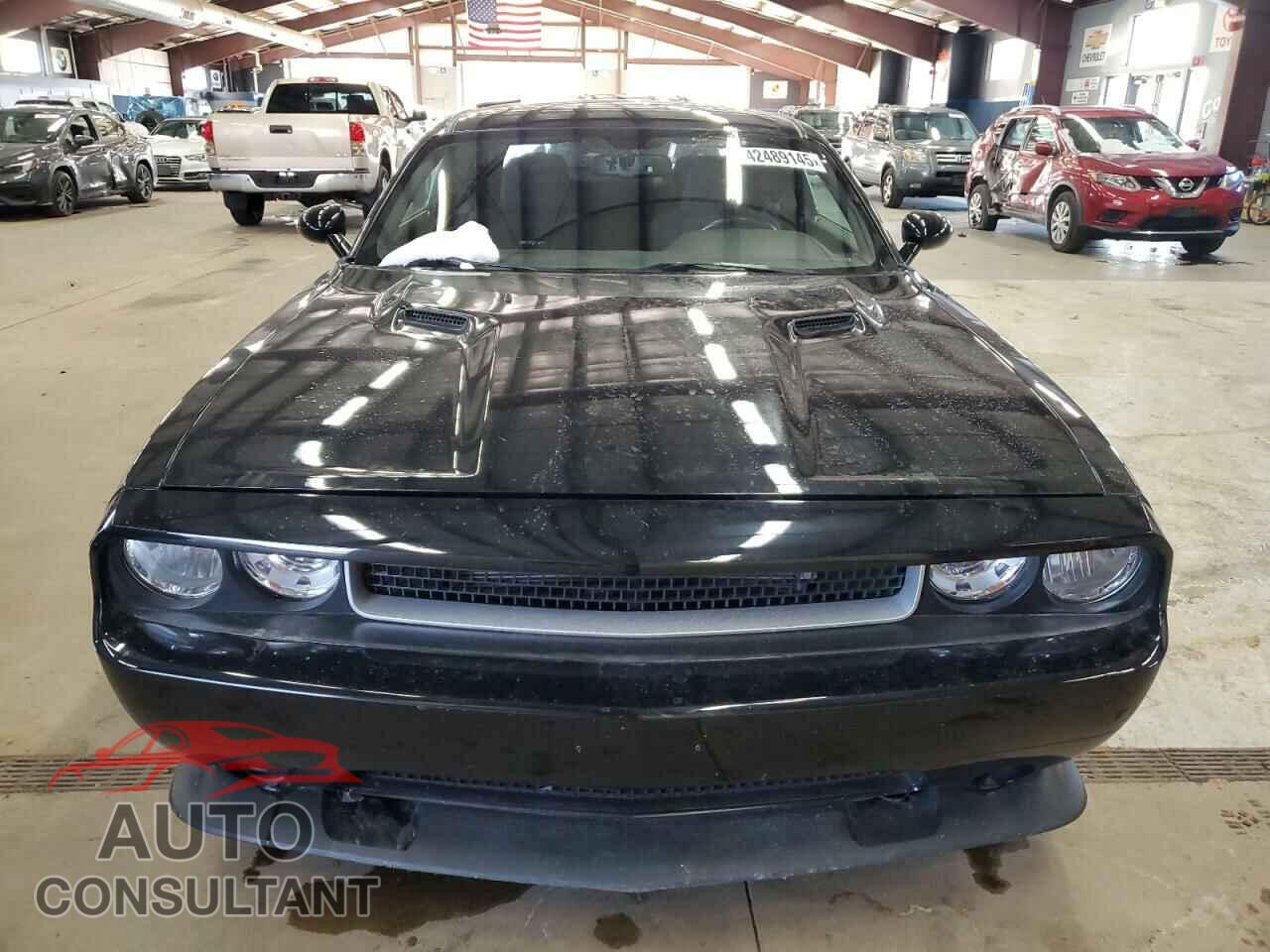 DODGE CHALLENGER 2013 - 2C3CDYDJ1DH688020