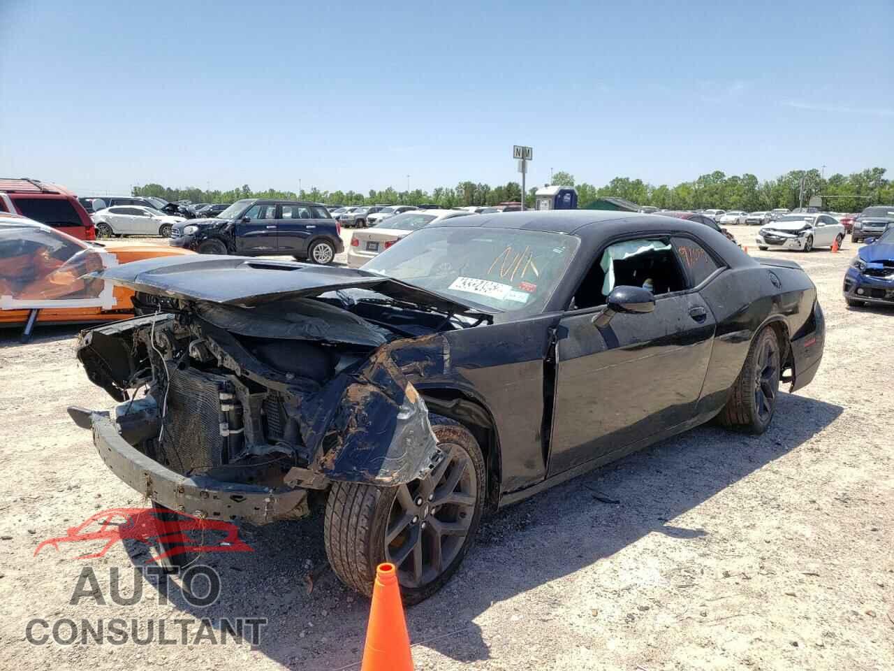 DODGE CHALLENGER 2019 - 2C3CDZAG3KH574614