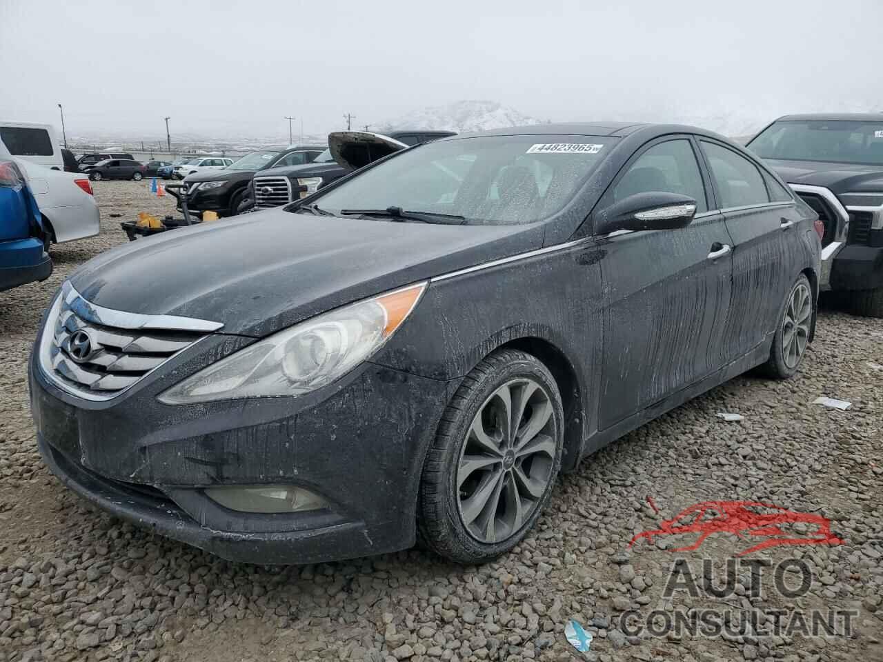 HYUNDAI SONATA 2013 - 5NPEC4AB9DH609651