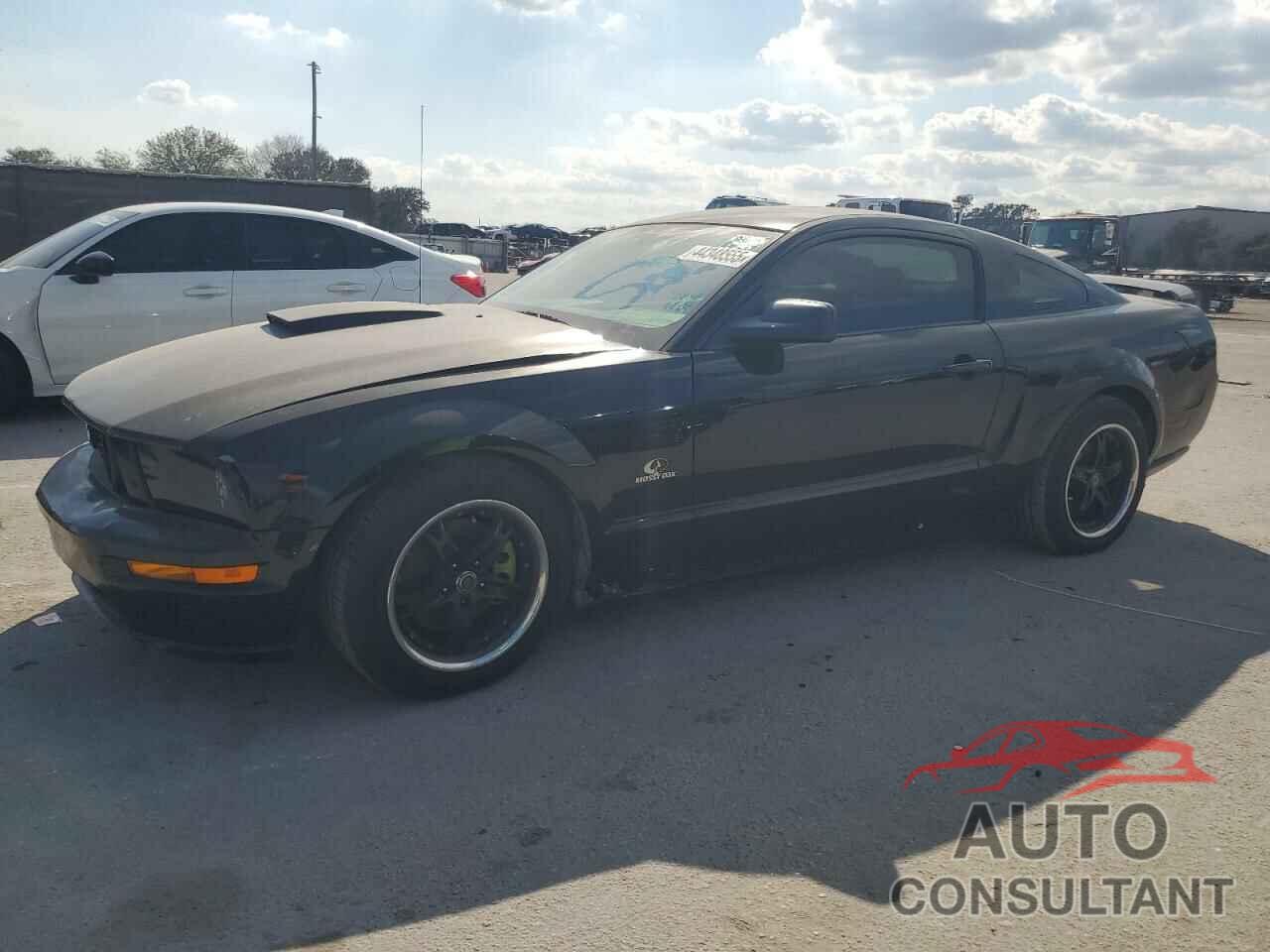 FORD MUSTANG 2009 - 1ZVHT82H995131016