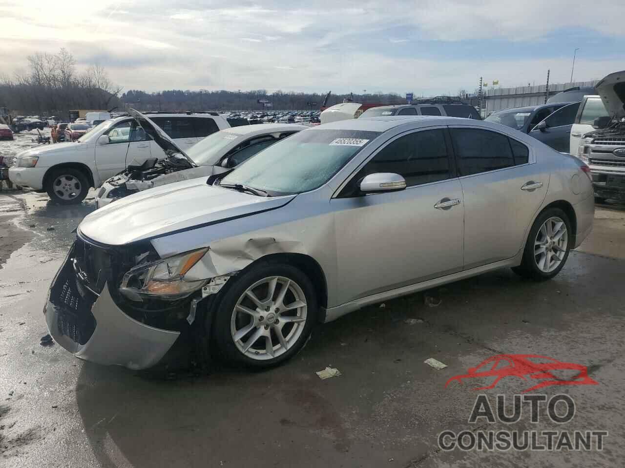 NISSAN MAXIMA 2009 - 1N4AA51E59C831956