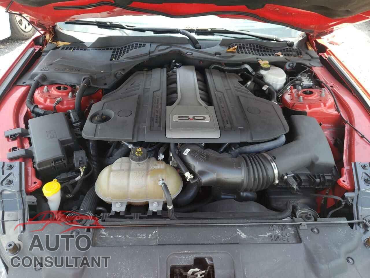 FORD MUSTANG 2019 - 1FA6P8CF2K5121161