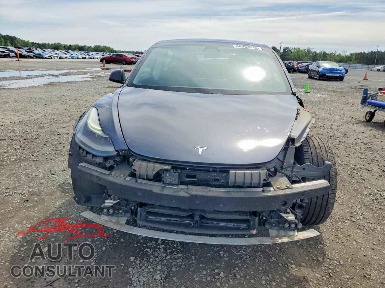 TESLA MODEL 3 2021 - 5YJ3E1EB8MF923705