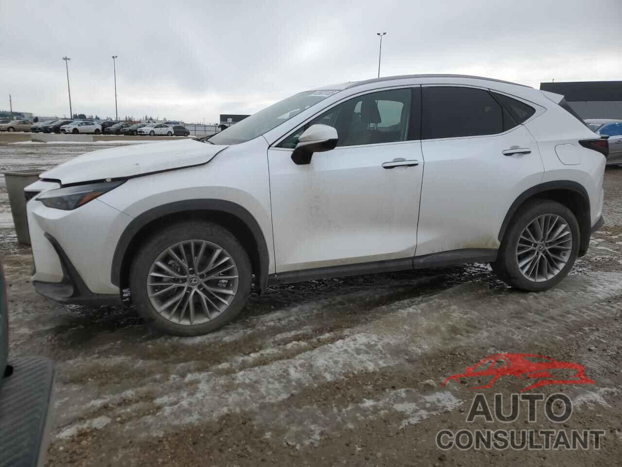 LEXUS NX 350H 2022 - 2T2GKCEZ7NC002130