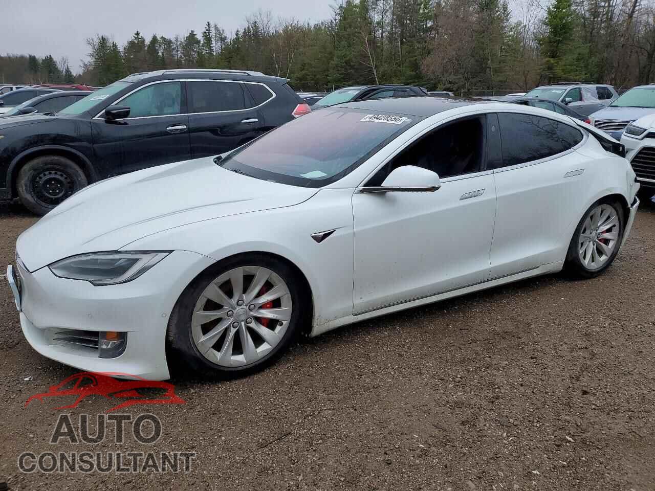 TESLA MODEL S 2019 - 5YJSA1E49KF334975