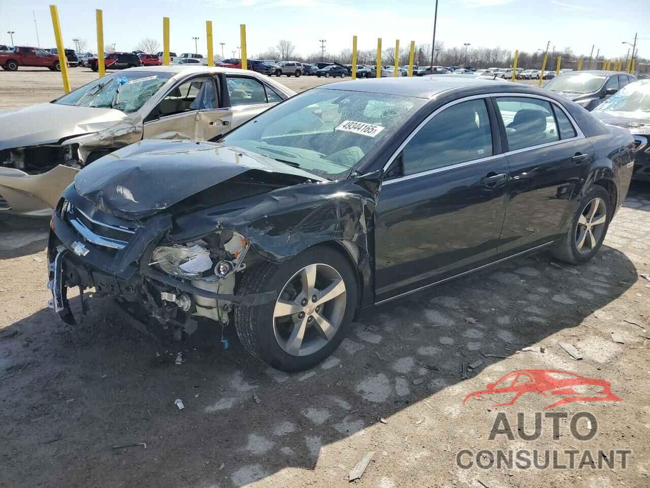 CHEVROLET MALIBU 2011 - 1G1ZC5E17BF296382