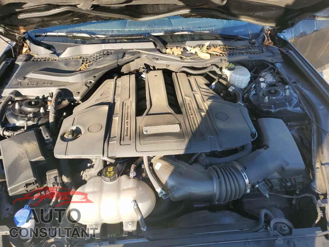 FORD MUSTANG 2021 - 1FA6P8CFXM5118513