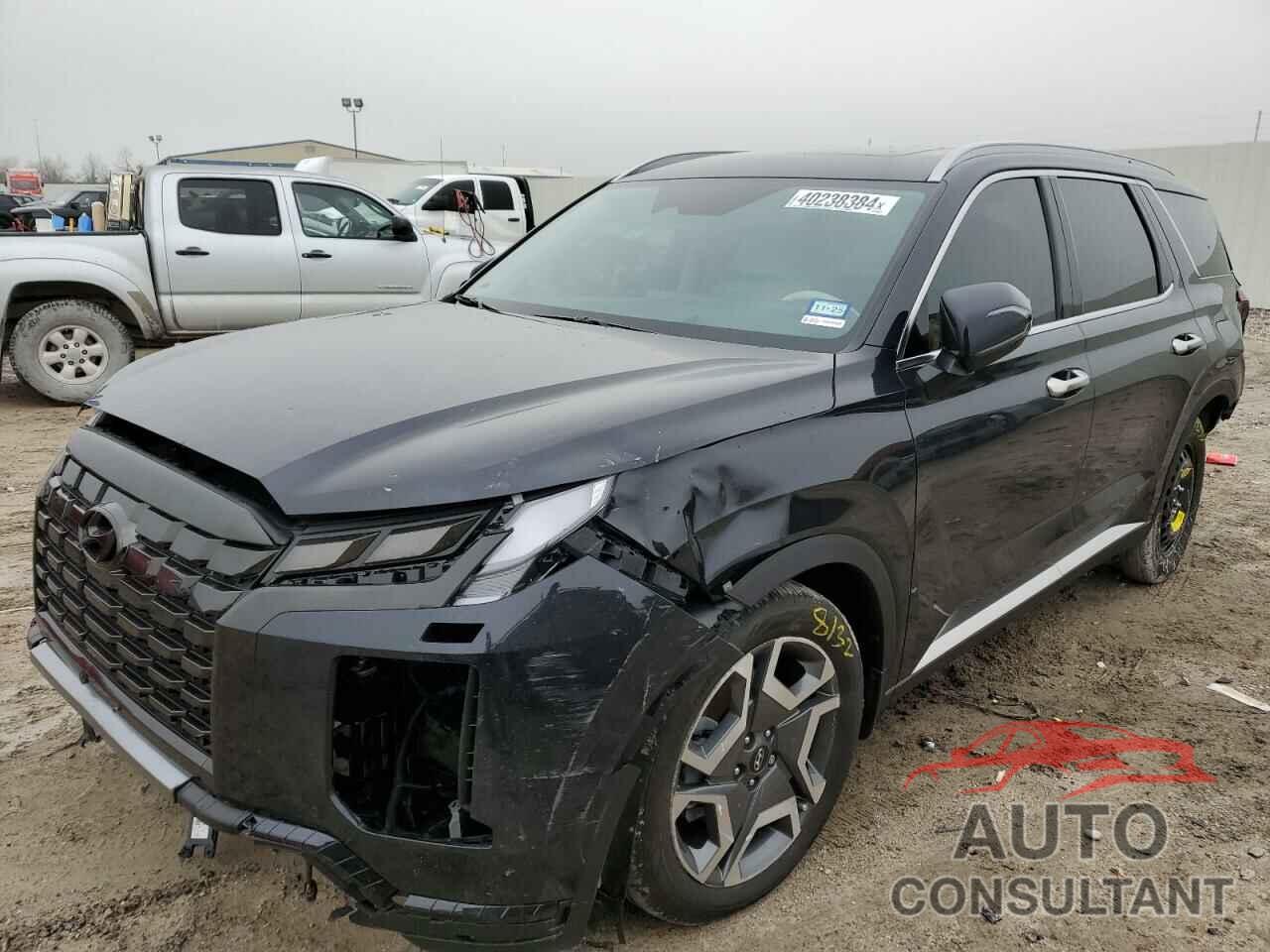 HYUNDAI PALISADE 2024 - KM8R54GE3RU698381