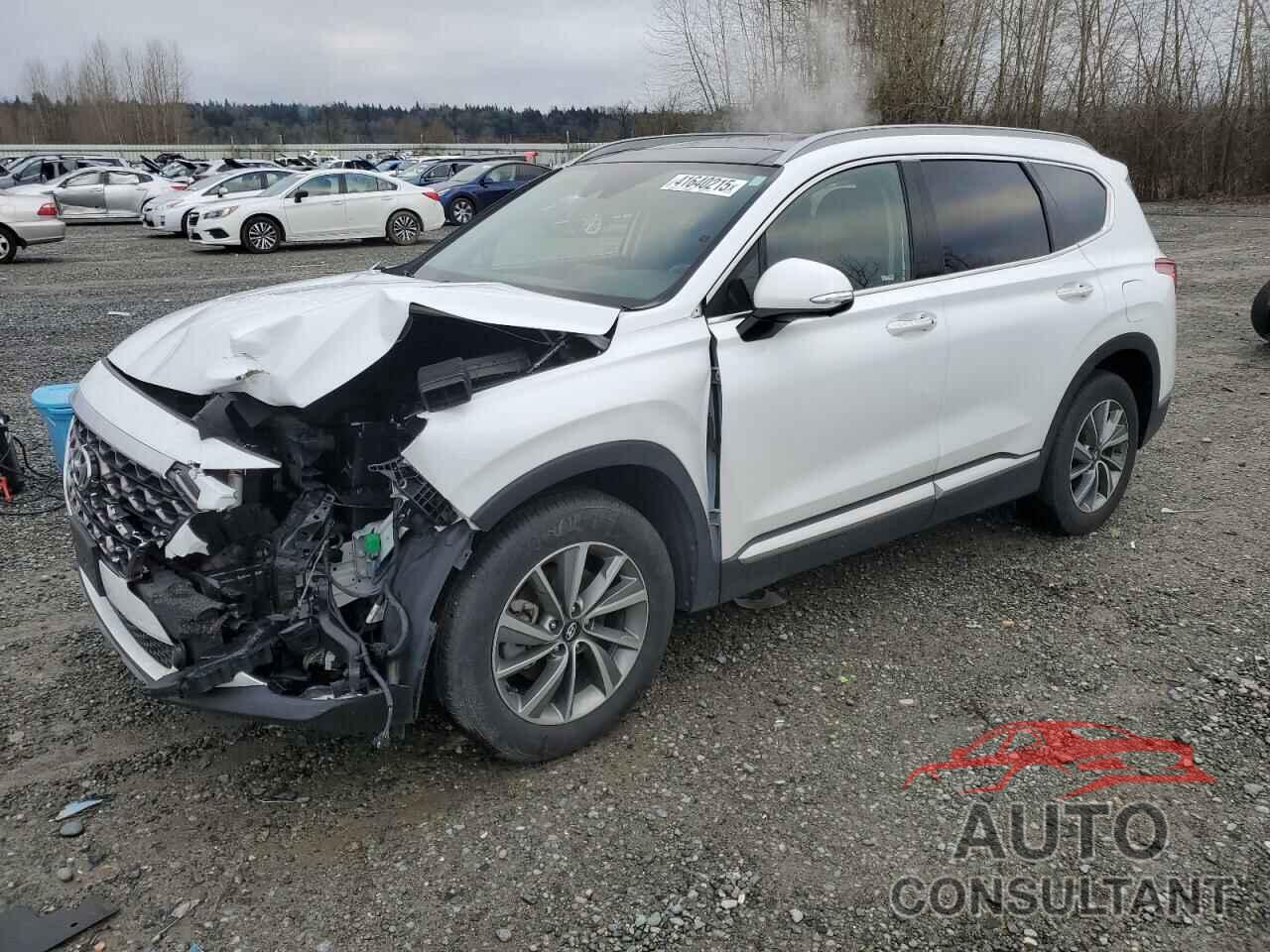 HYUNDAI SANTA FE 2019 - 5NMS5CADXKH028355