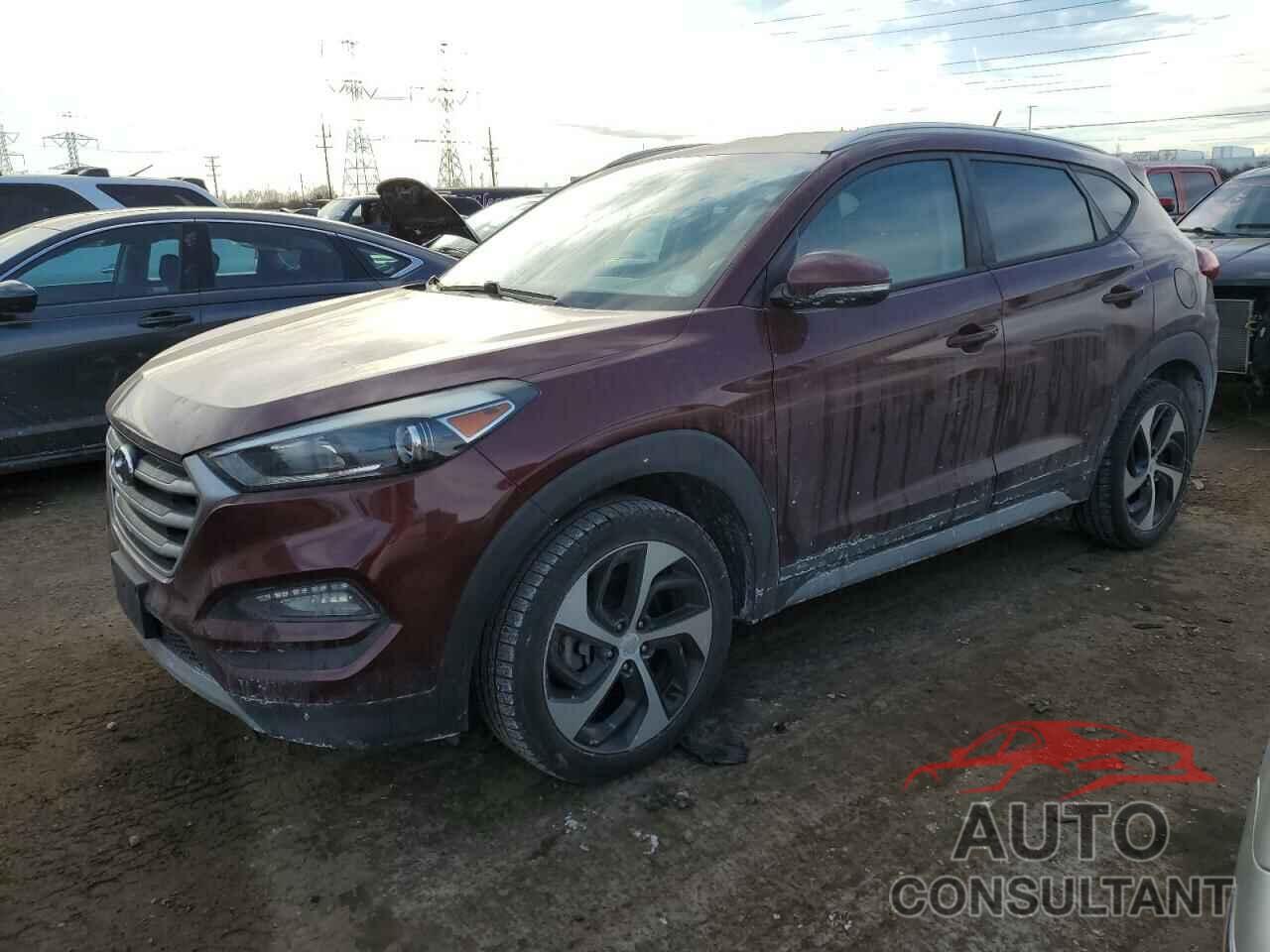 HYUNDAI TUCSON 2017 - KM8J3CA23HU395160