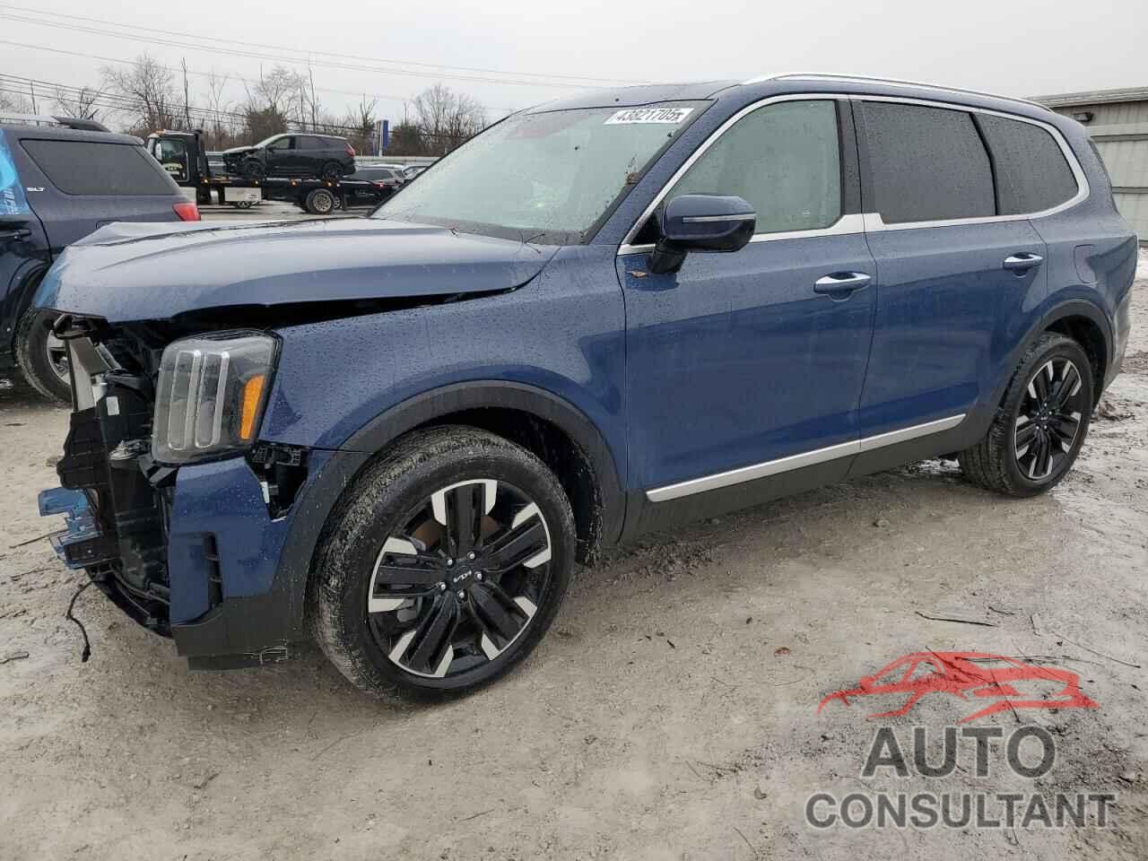 KIA TELLURIDE 2024 - 5XYP5DGC9RG503637