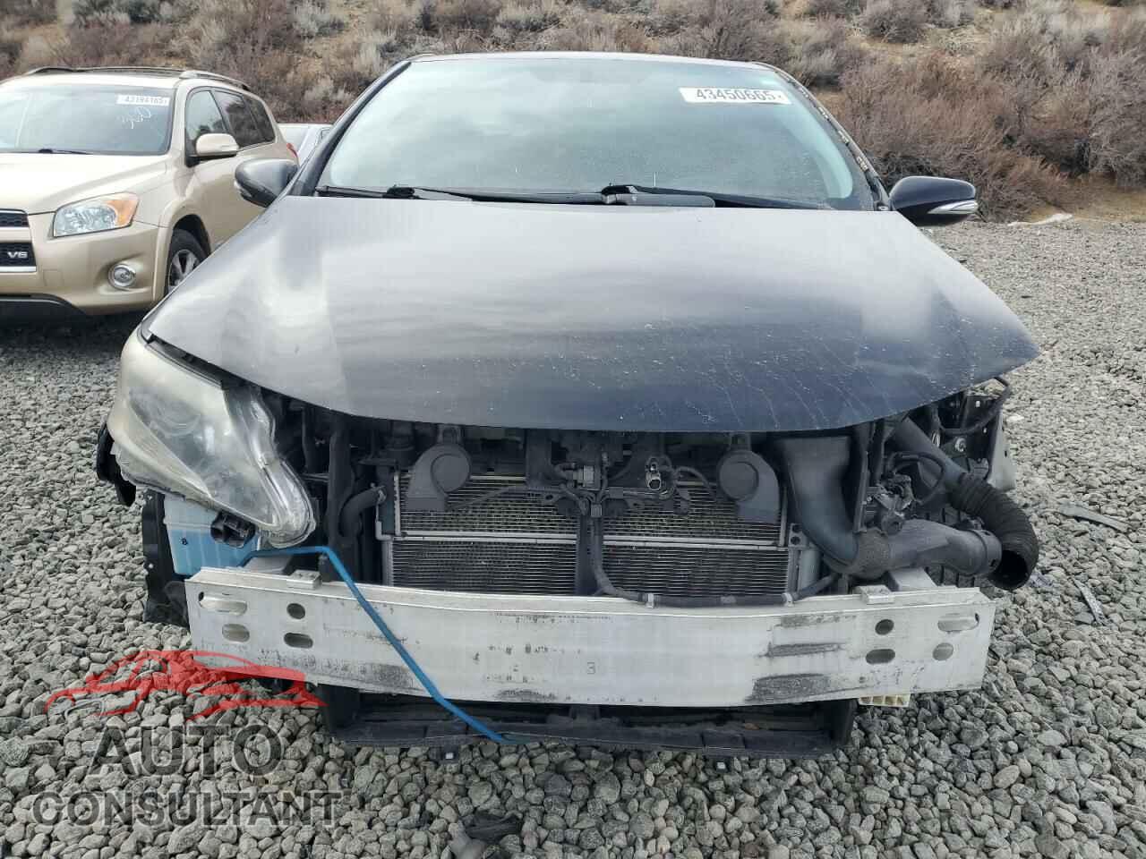 LEXUS HS 2010 - JTHBB1BA9A2015793