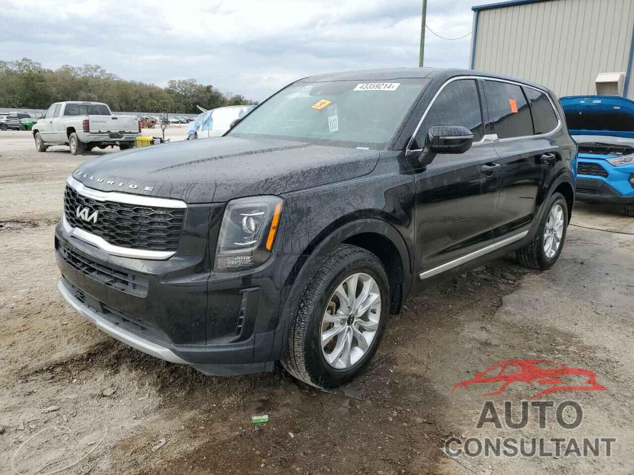 KIA TELLURIDE 2022 - 5XYP2DHC1NG277854