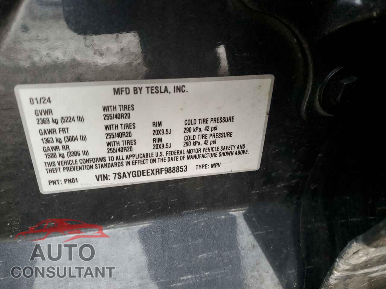 TESLA MODEL Y 2024 - 7SAYGDEEXRF988853