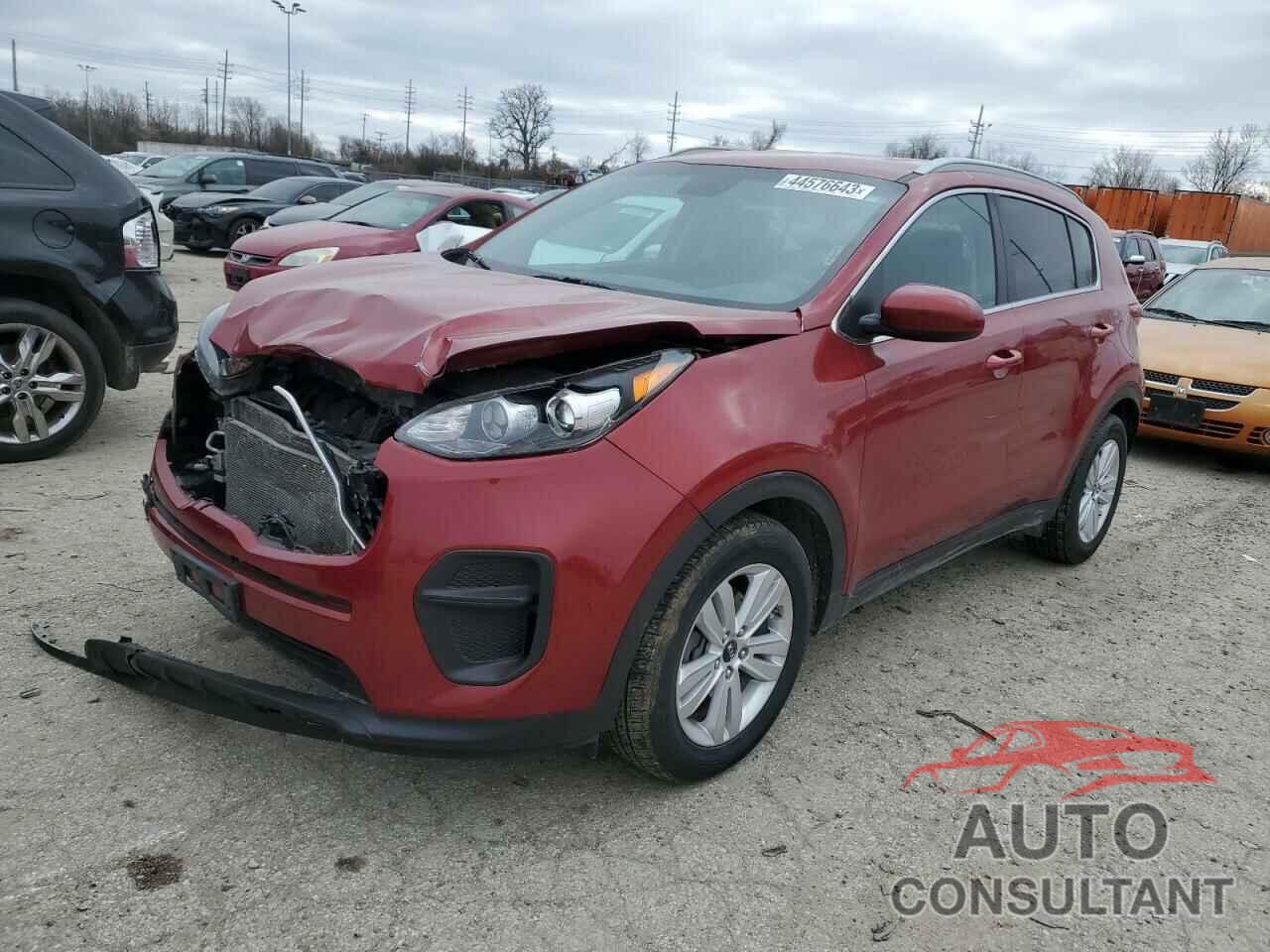 KIA SPORTAGE 2019 - KNDPM3AC3K7529952