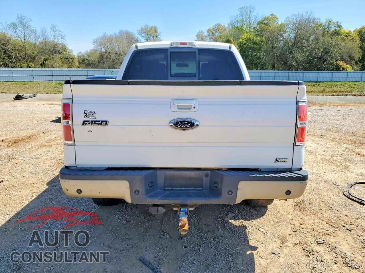 FORD F150 2010 - 1FTFW1EV3AFD92537