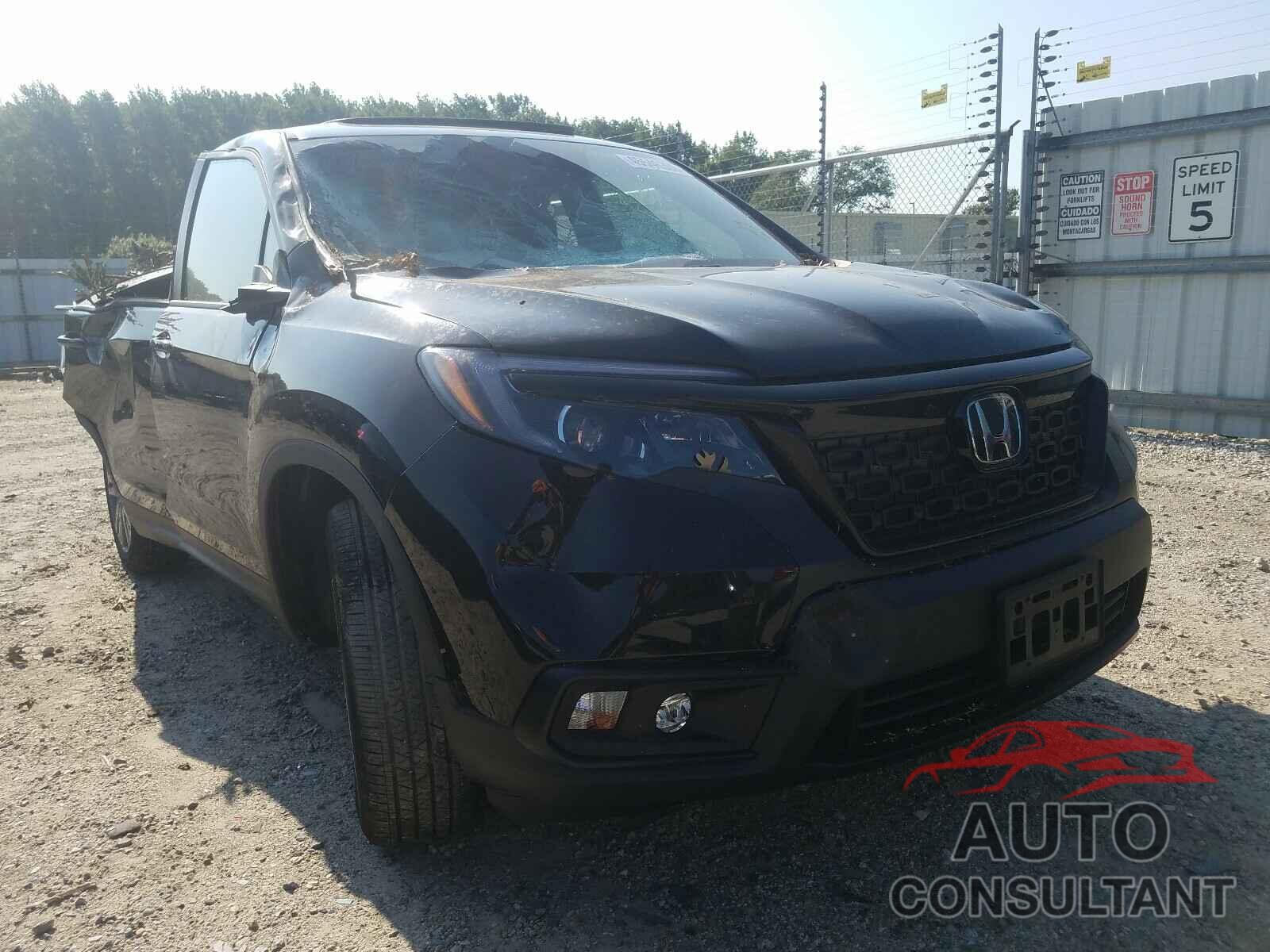 HONDA PASSPORT 2019 - 5FNYF8H55KB028607