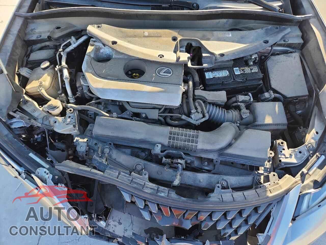 LEXUS UNKNOWN 2019 - JTHY3JBH4K2003931